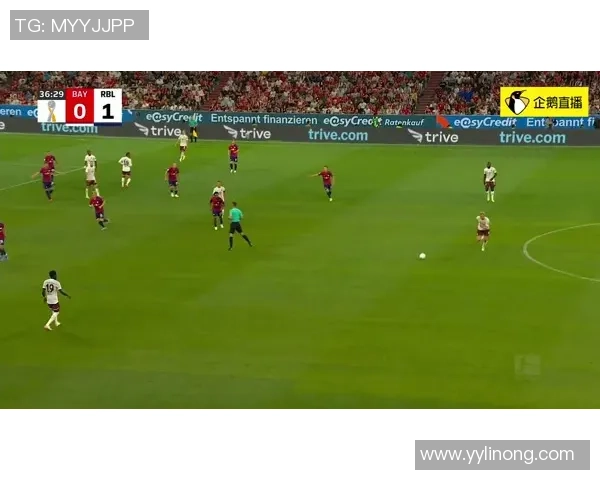 德国与秘鲁足球赛精彩直播视频全程回顾与分析